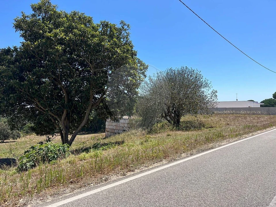 Terreno para Venda em Vidais Foto 9