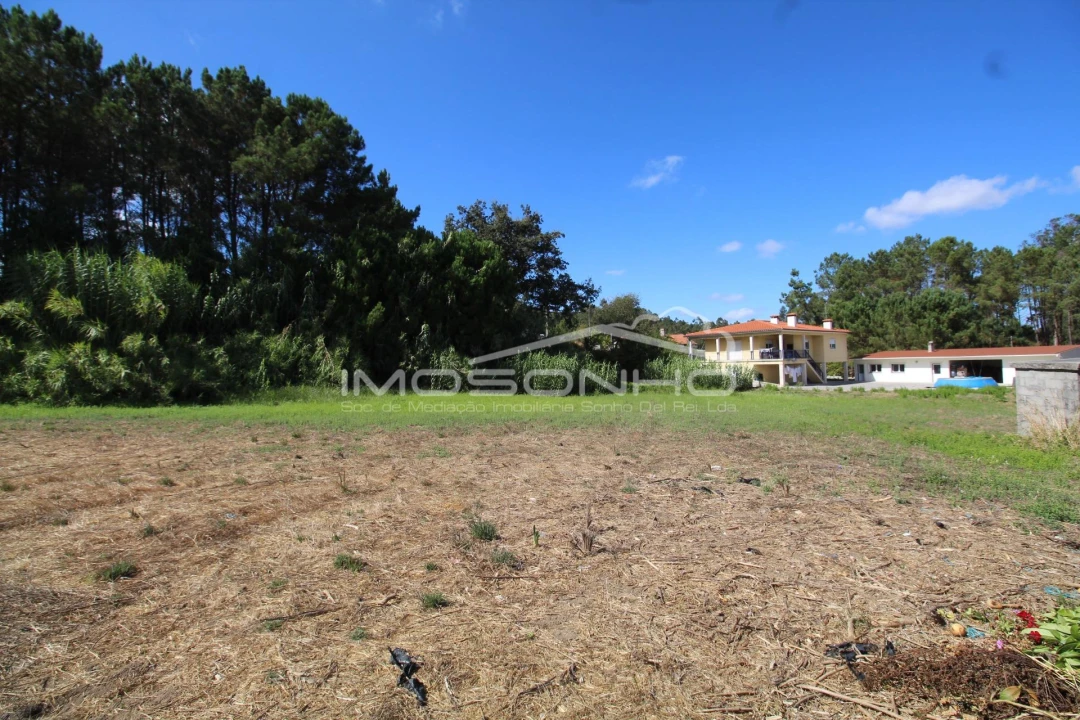 Terreno para Venda em Maceira Foto 5