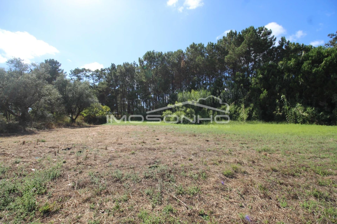 Terreno para Venda em Maceira Foto 6