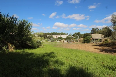 Terreno para Venda em Maceira