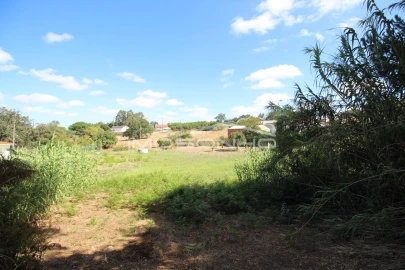 Terreno para Venda em Maceira