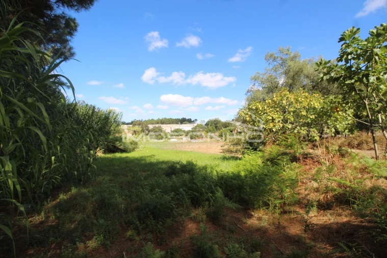Terreno para Venda em Maceira Foto 2