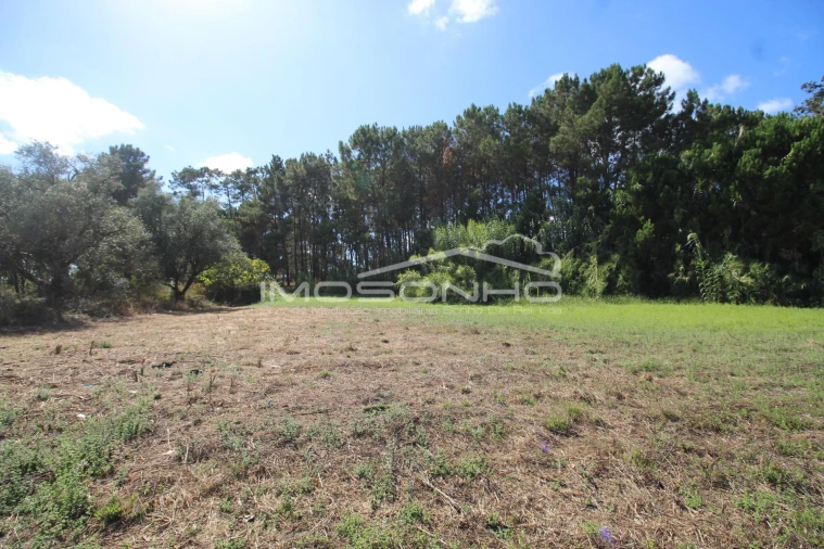 Terreno para Venda em Maceira Foto 6