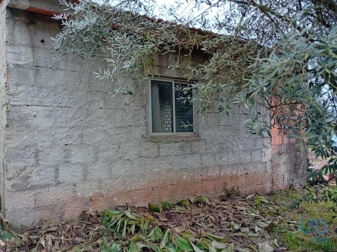 Moradia T3 para Venda em São Miguel, Santa Eufémia e Rabaçal Foto 6