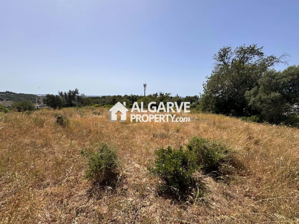 Terreno para Venda em Loule (São Clemente) Foto 38