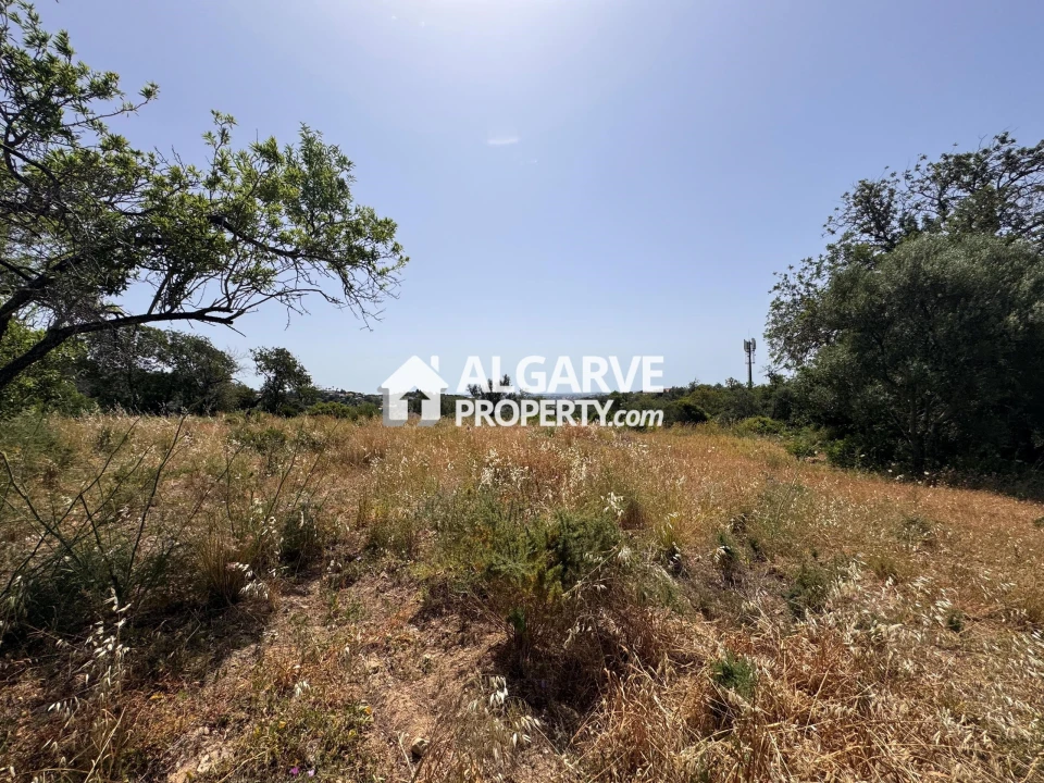 Terreno para Venda em Loule (São Clemente) Foto 42
