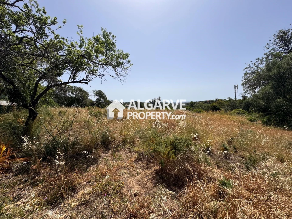 Terreno para Venda em Loule (São Clemente) Foto 39