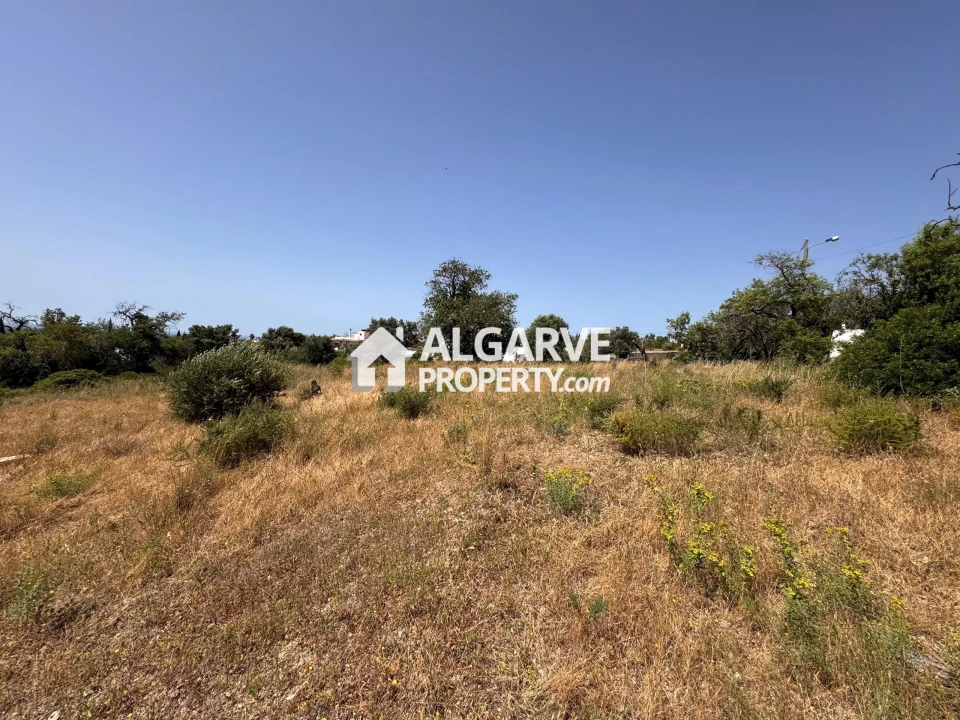 Terreno para Venda em Loule (São Clemente) Foto 35