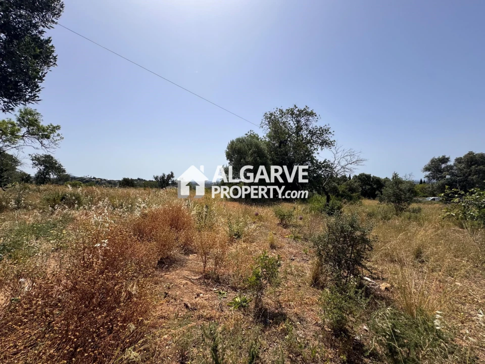 Terreno para Venda em Loule (São Clemente) Foto 45