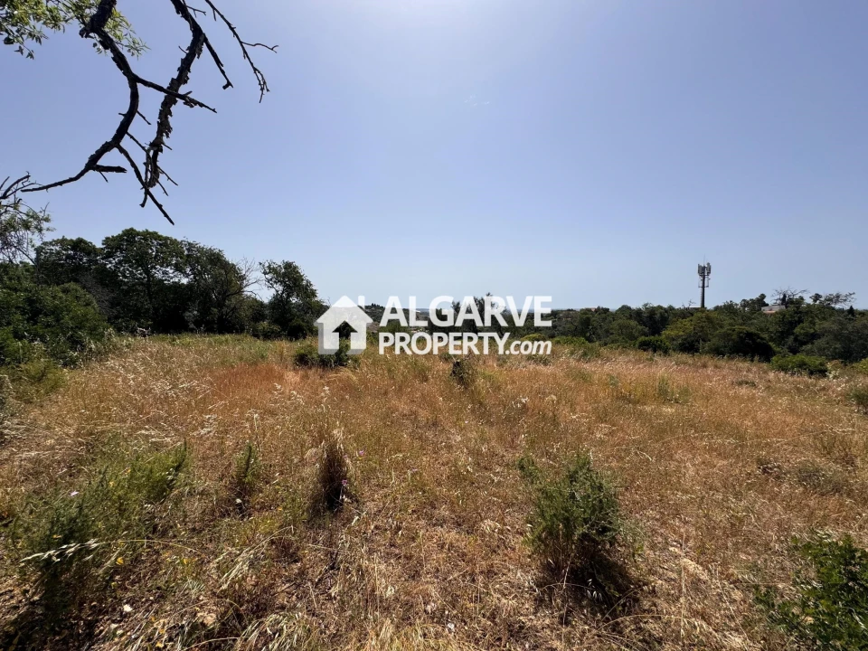 Terreno para Venda em Loule (São Clemente) Foto 36