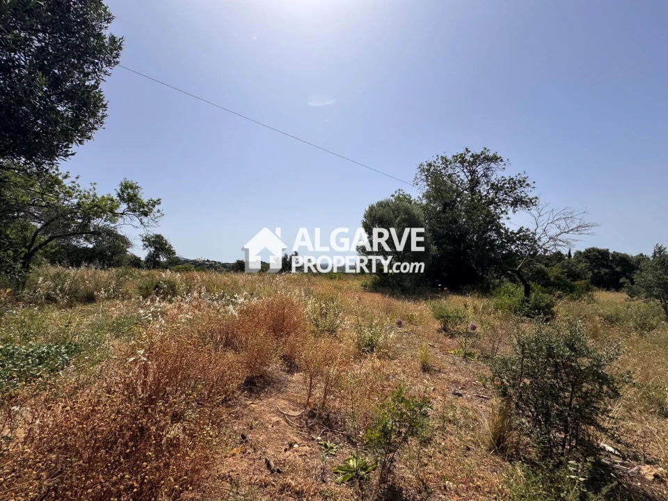 Terreno para Venda em Loule (São Clemente) Foto 46