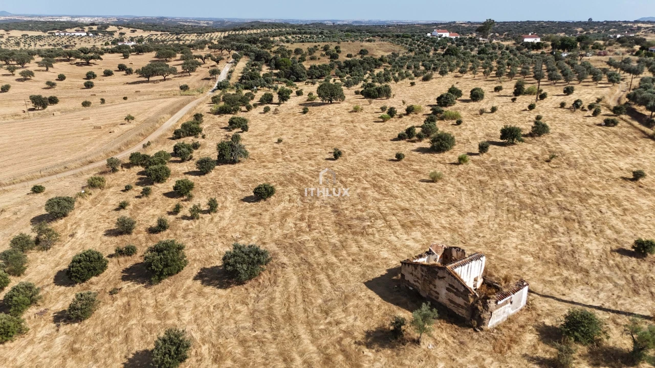 Quinta para Venda em Capelins (Santo Antonio) Foto 1