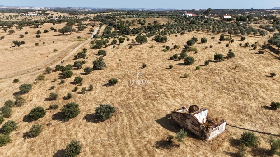 Quinta para Venda em Capelins (Santo Antonio)