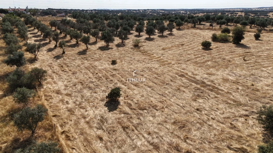 Quinta para Venda em Capelins (Santo Antonio) Foto 3