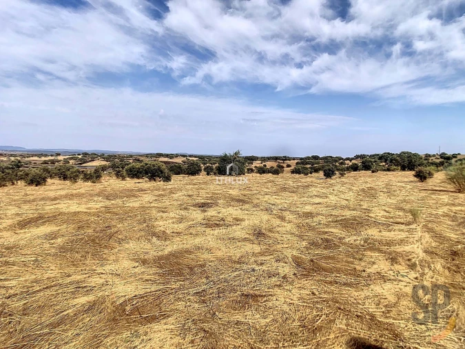 Quinta para Venda em Capelins (Santo Antonio) Foto 6