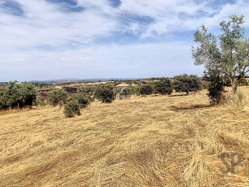 Quinta para Venda em Capelins (Santo Antonio) Foto 9