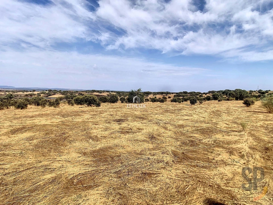 Quinta para Venda em Capelins (Santo Antonio) Foto 6