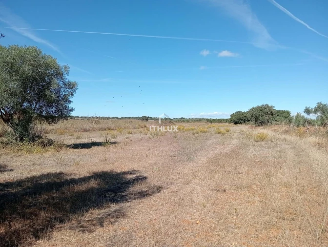 Terreno Agricola ou Rústico para Venda em São Bras e São Lourenço Foto 4
