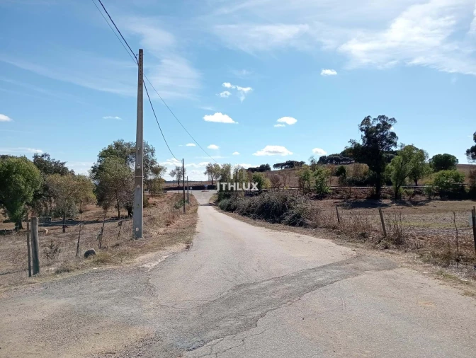Terreno Agricola ou Rústico para Venda em São Bras e São Lourenço Foto 8
