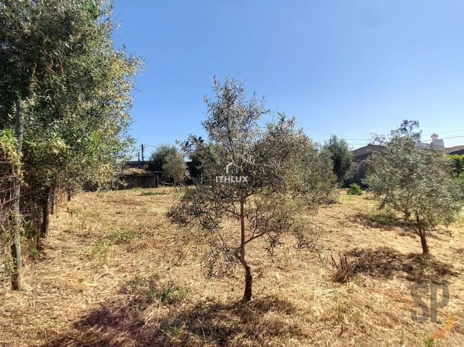 Quinta T5 para Venda em Terena (São Pedro) Foto 9