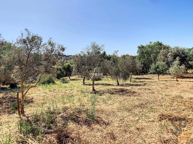 Quinta T5 para Venda em Terena (São Pedro) Foto 10