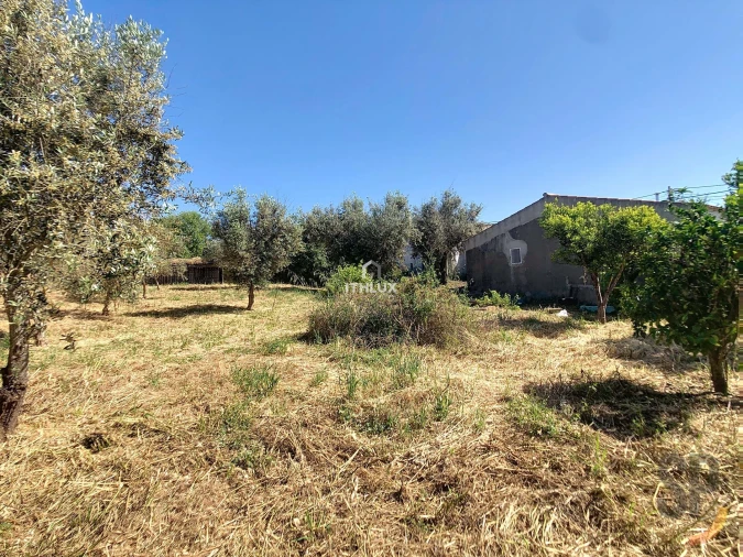 Quinta T5 para Venda em Terena (São Pedro) Foto 8