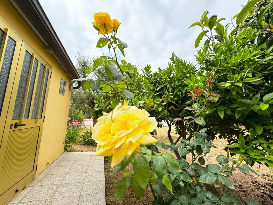 Moradia T4 para Venda em Branca Foto 45