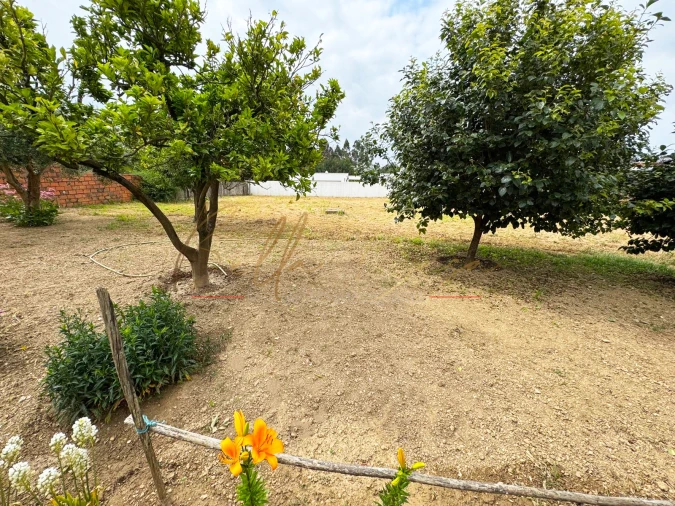 Moradia T4 para Venda em Branca Foto 47