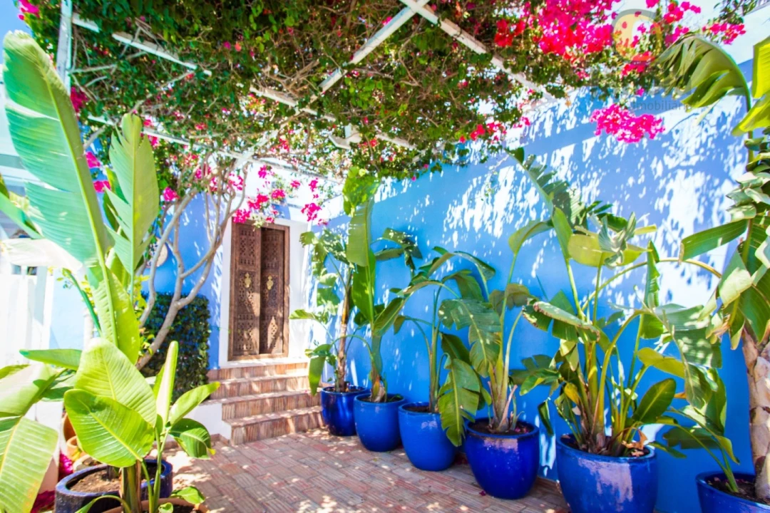 Quinta T10 para Venda em Moncarapacho e Fuseta Foto 10