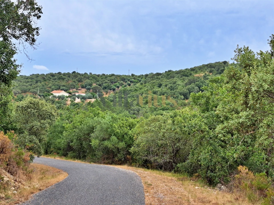 Terreno para Venda em Casais e Alviobeira Foto 6