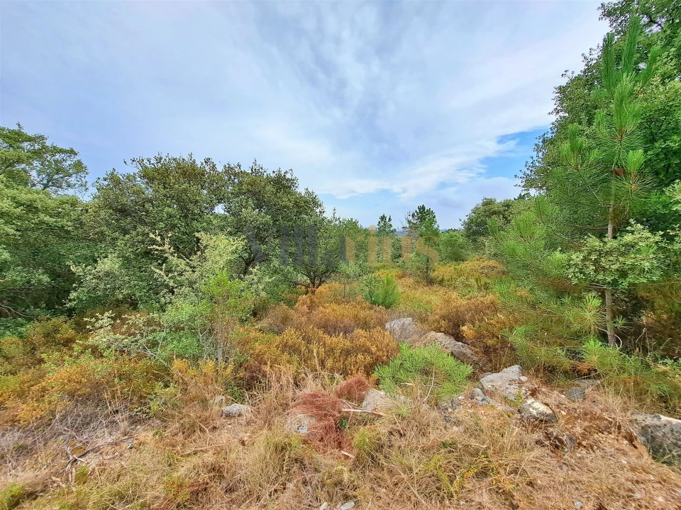 Terreno para Venda em Casais e Alviobeira Foto 8