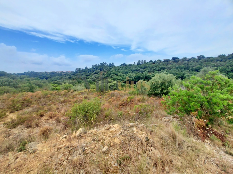 Terreno para Venda em Casais e Alviobeira Foto 10