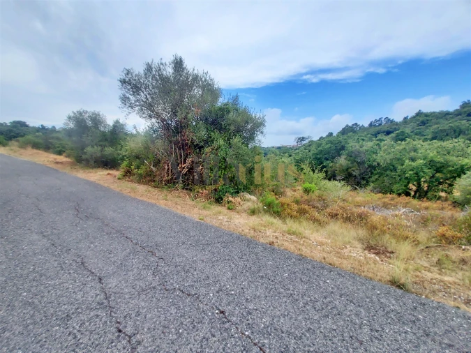 Terreno para Venda em Casais e Alviobeira Foto 17