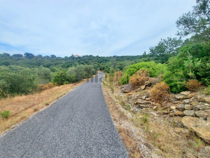 Terreno para Venda em Casais e Alviobeira Foto 4