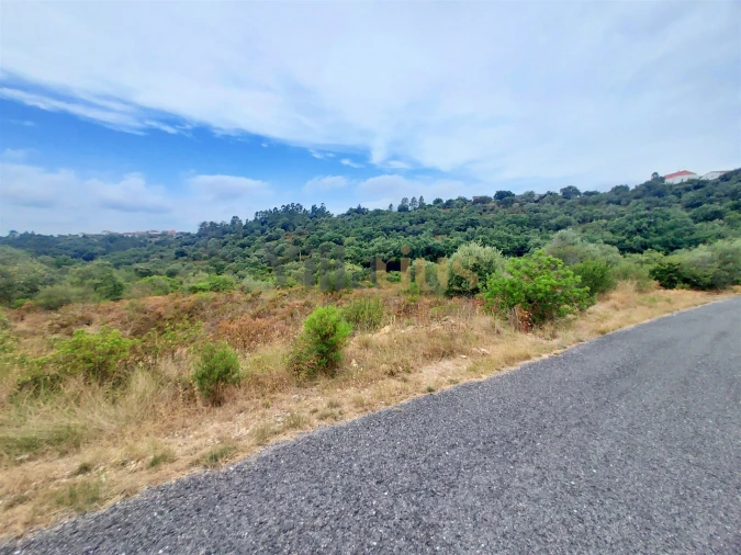 Terreno para Venda em Casais e Alviobeira Foto 7