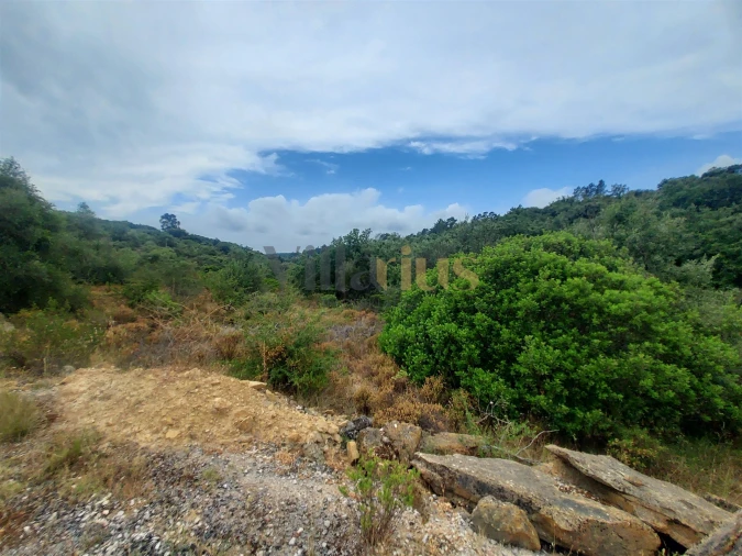Terreno para Venda em Casais e Alviobeira Foto 15