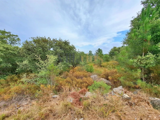 Terreno para Venda em Casais e Alviobeira Foto 8