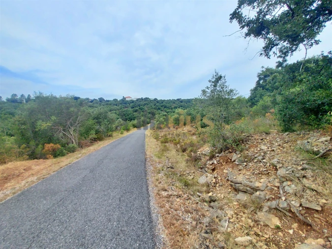 Terreno para Venda em Casais e Alviobeira Foto 2