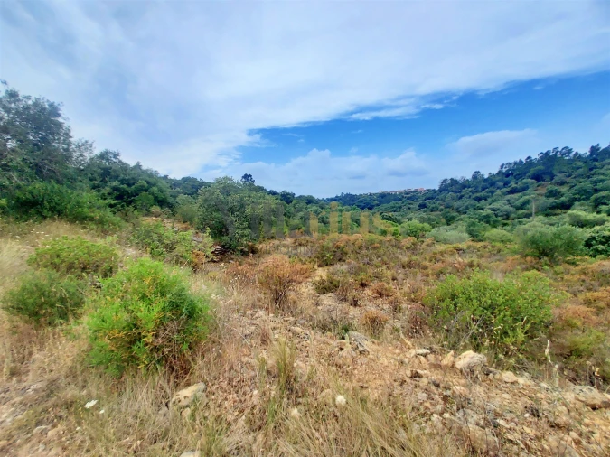 Terreno para Venda em Casais e Alviobeira Foto 12