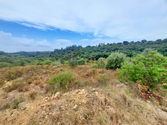 Terreno para Venda em Casais e Alviobeira Foto 9