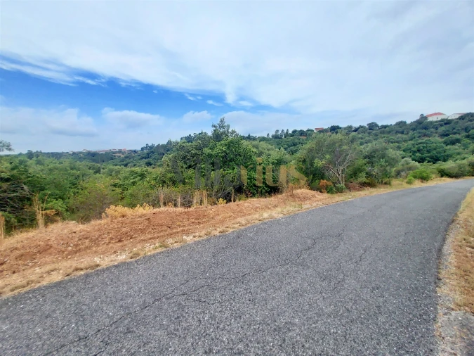 Terreno para Venda em Casais e Alviobeira Foto 3