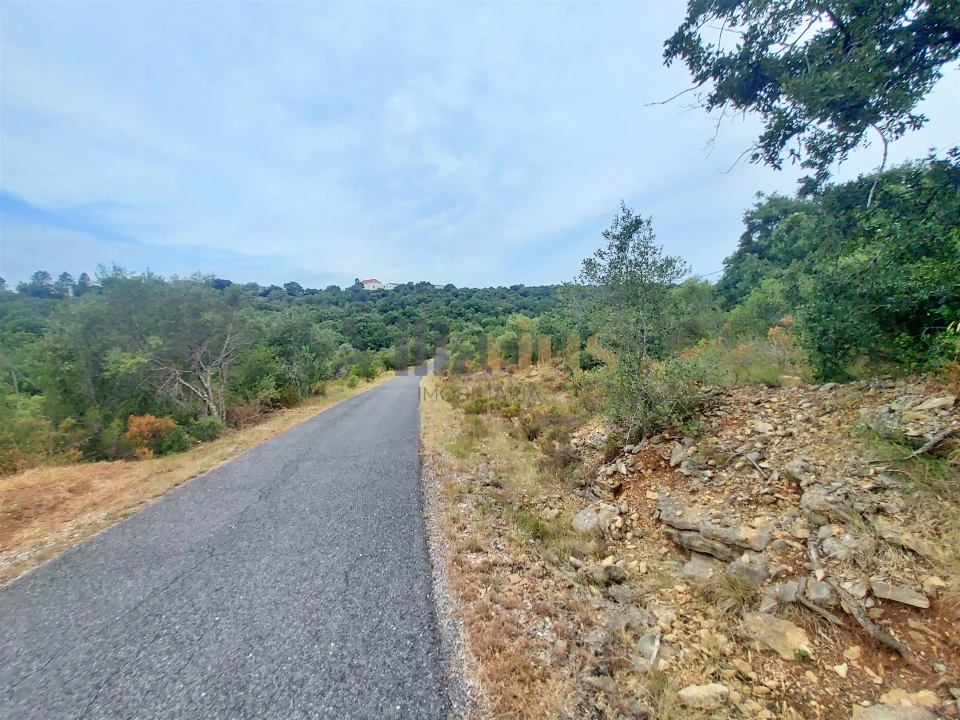 Terreno para Venda em Casais e Alviobeira Foto 2