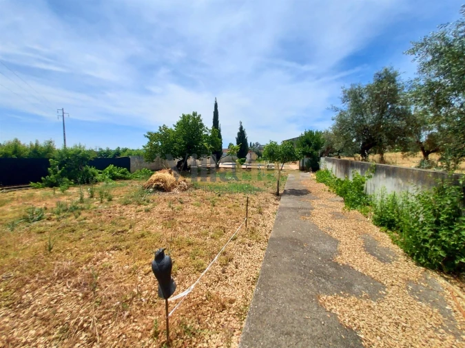 Moradia T2 para Venda em Madalena e Beselga Foto 10