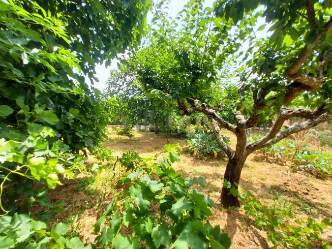 Moradia T2 para Venda em Madalena e Beselga Foto 11