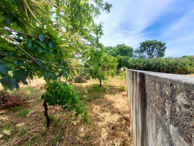 Moradia T2 para Venda em Madalena e Beselga Foto 15