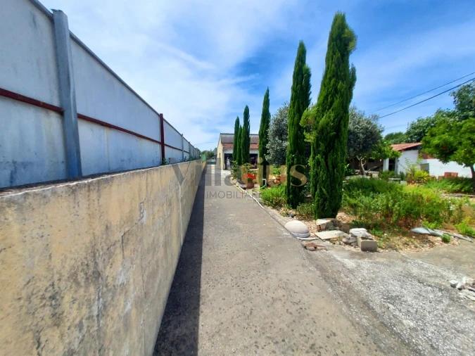 Moradia T2 para Venda em Madalena e Beselga Foto 18