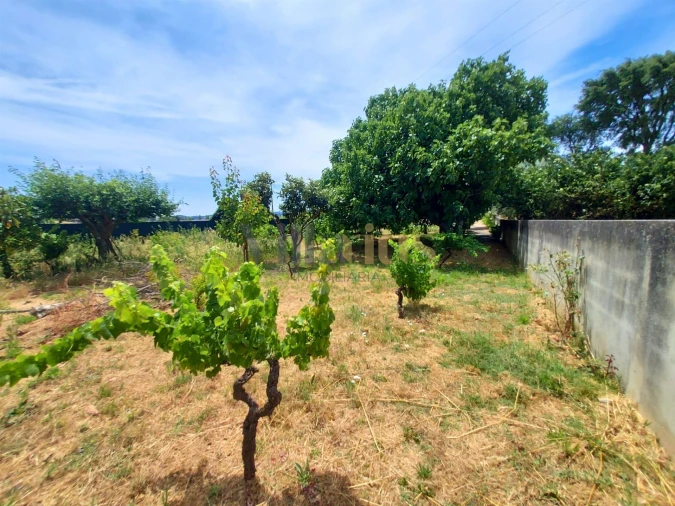 Moradia T2 para Venda em Madalena e Beselga Foto 12