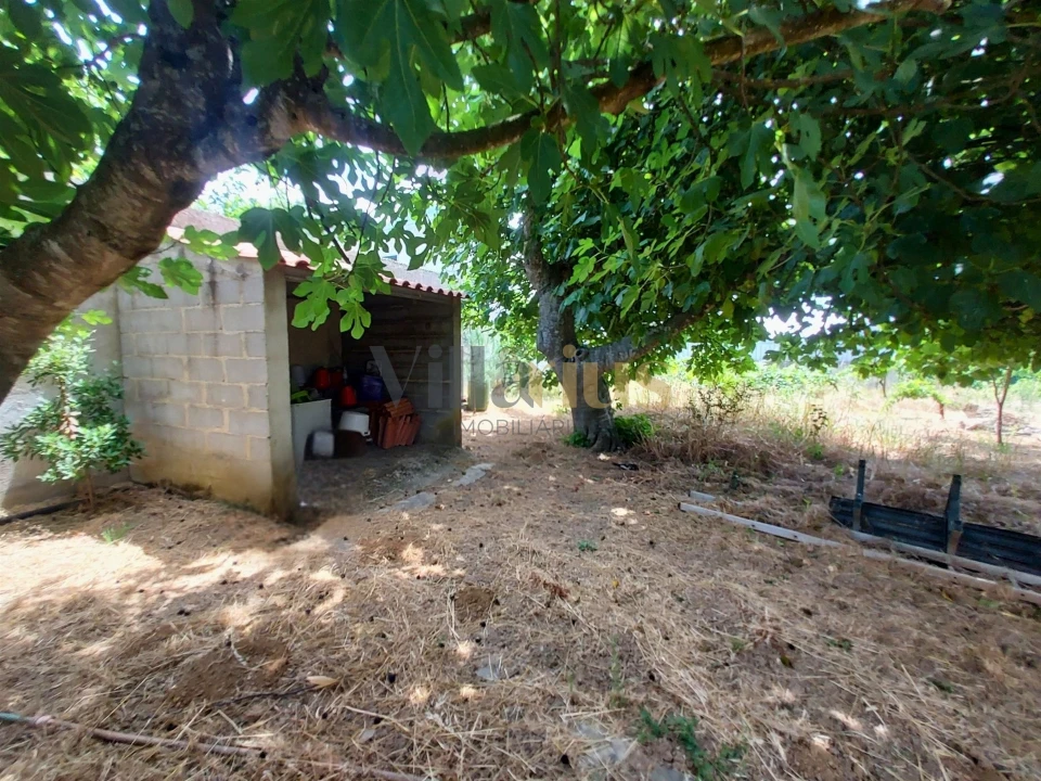 Moradia T2 para Venda em Madalena e Beselga Foto 16