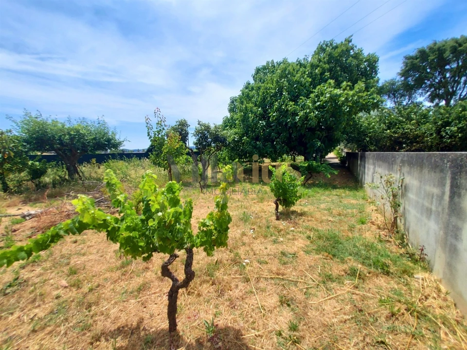 Moradia T2 para Venda em Madalena e Beselga Foto 12