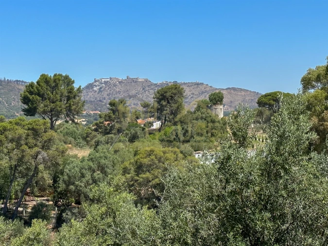 Prédio para Venda em União das Freguesias de Setúbal Foto 30